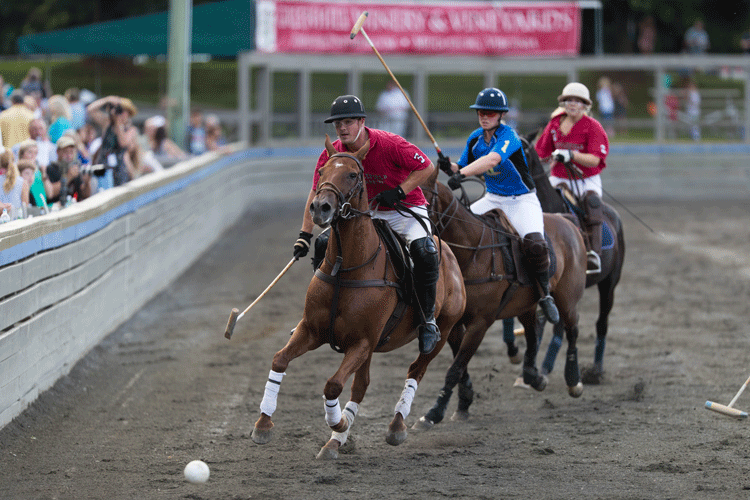 Twilight polo players .gif